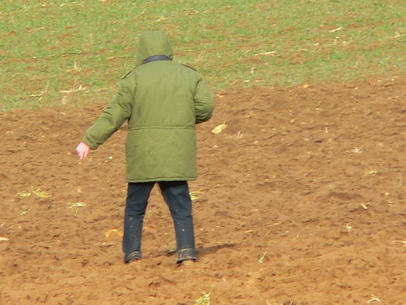 P1140794.JPG