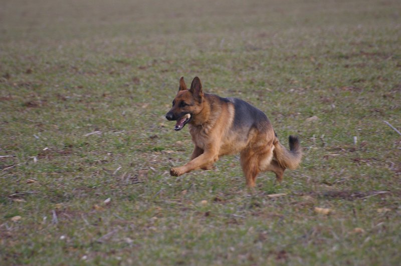 SG1L7247.JPG