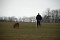 DSC_0063