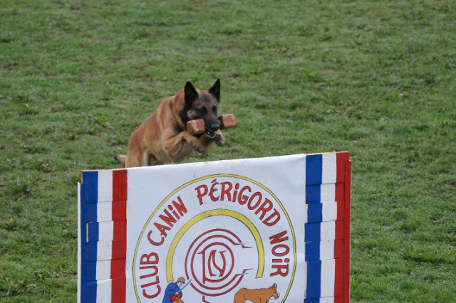 DSC06294.JPG