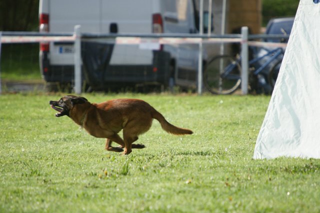 DSC06487.JPG