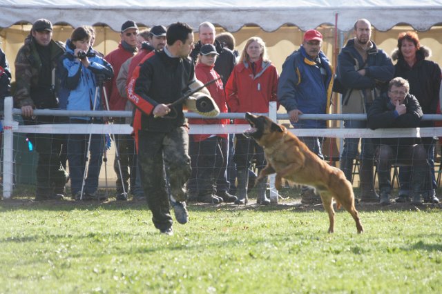 DSC06491.JPG