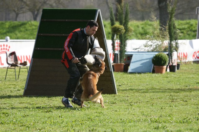 DSC06574.JPG