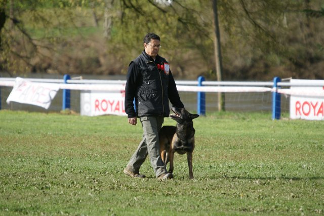 DSC06617.JPG