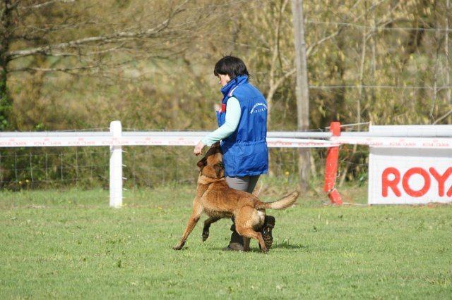 DSC06687.JPG