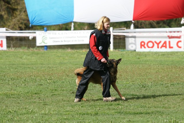 DSC06697.JPG