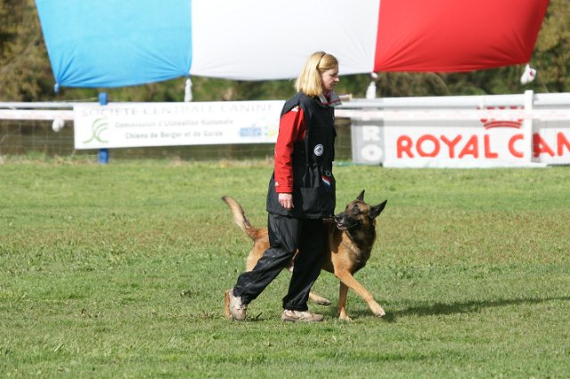 DSC06698.JPG