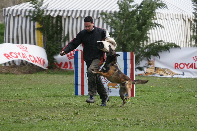 DSC06781.JPG