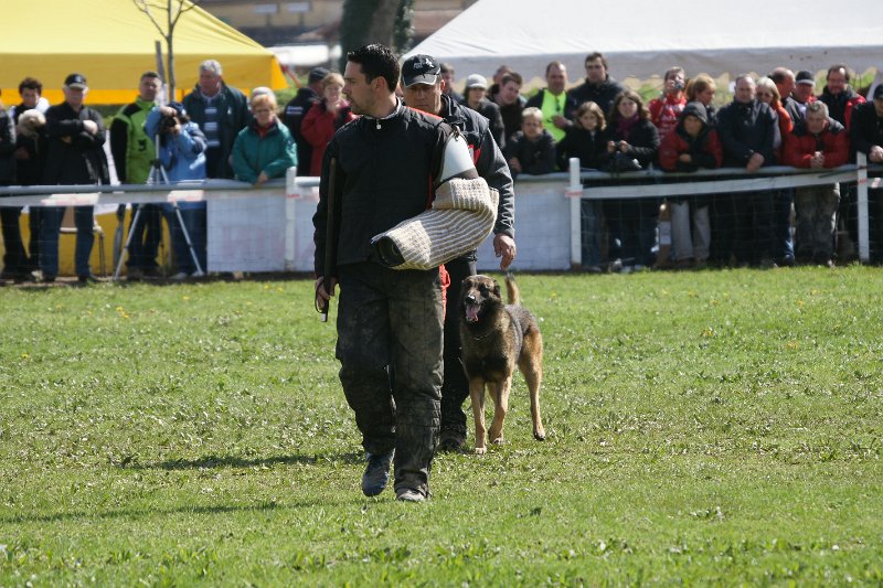 DSC06886.JPG