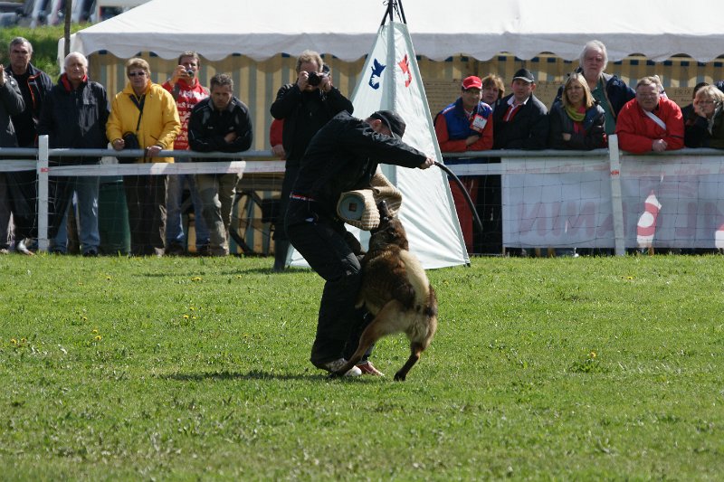 DSC06917.JPG