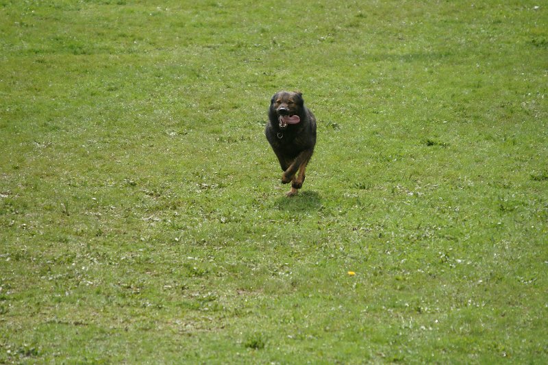 DSC07077.JPG