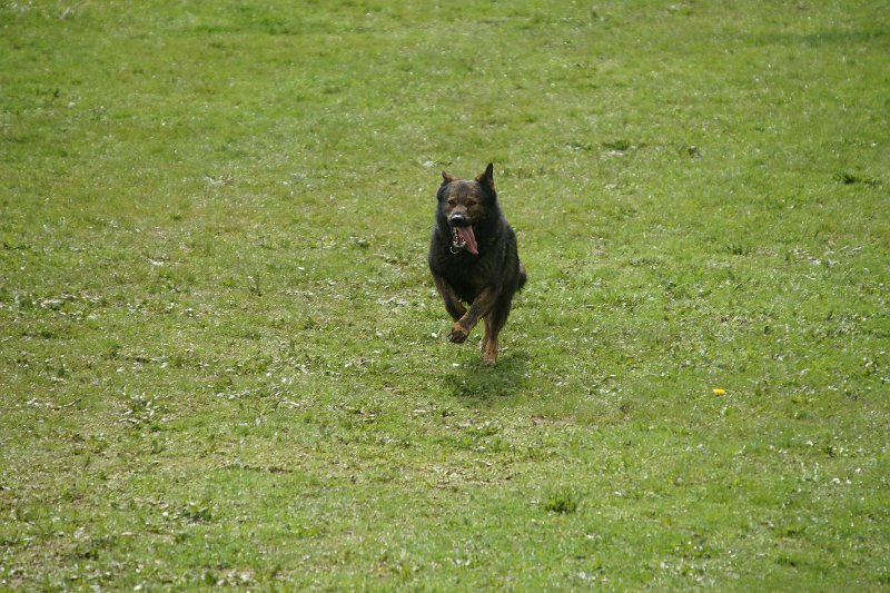 DSC07079.JPG