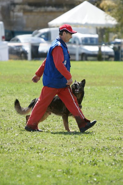 DSC07345.JPG