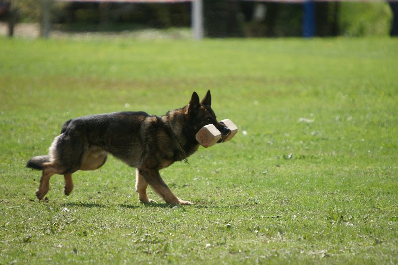 DSC07357.JPG