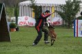 DSC06384