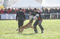 DSC06580
