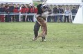 DSC06588