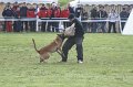 DSC06589