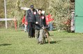 DSC06599