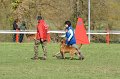DSC06684