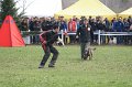 DSC06806