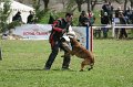 DSC06925