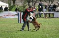 DSC06927