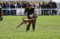 DSC06933