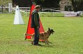 DSC07011