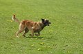 DSC07012
