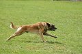 DSC07014