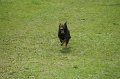 DSC07079