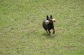 DSC07090