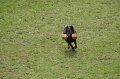 DSC07091