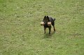 DSC07092