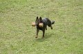 DSC07094
