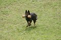 DSC07095