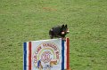 DSC07099