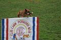 DSC07187