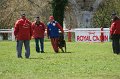 DSC07347