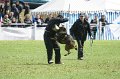 DSC07463