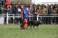 DSC07499