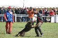 DSC07507