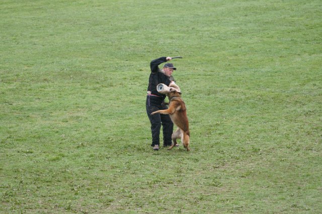 DSC05834.JPG