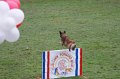 DSC05538