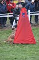 DSC05698