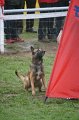 DSC05818
