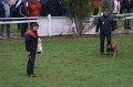 DSC05820