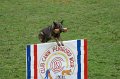 DSC05949