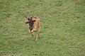 DSC05972